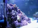 [TodoMarino.com] Mi reef under construction.