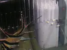 [TodoMarino.com] kaudermis recien nacidos