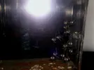 [TodoMarino.com] kaudermis recien nacidos