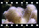 [TodoMarino.com] Dos fotos