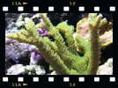 [TodoMarino.com] Dos fotos
