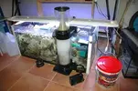 [TodoMarino.com] Proyecto Marino de 300-400 L