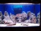 [TodoMarino.com] Mi nano de 80l