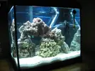 [TodoMarino.com] mi primer intento nano