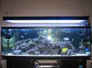 [TodoMarino.com] Colocar bombas en este acuario 300l