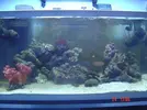 [TodoMarino.com] Aqui esta mi tanque