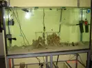 [TodoMarino.com] Mi Nuevo Tanque