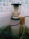 [TodoMarino.com] que os parece mi bricoskimmer