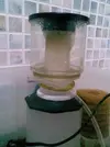 [TodoMarino.com] que os parece mi bricoskimmer