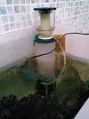 [TodoMarino.com] que os parece mi bricoskimmer