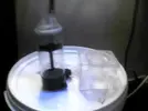 [TodoMarino.com] problema skimmer de jad