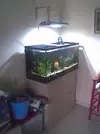 [TodoMarino.com] Taller De Sump