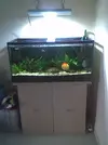 [TodoMarino.com] Taller De Sump