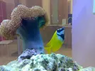 [TodoMarino.com] mis animalitos