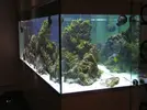 [TodoMarino.com] especie de mucosidad en la roca viva
