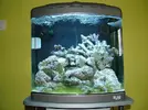 [TodoMarino.com] Primer acuario, primeras dudas...