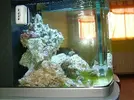 [TodoMarino.com] Primer acuario, primeras dudas...