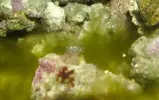 [TodoMarino.com] Primer acuario, primeras dudas...