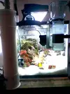 [TodoMarino.com] Nuevo Acuario De 240 Lts