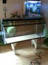 [TodoMarino.com] Nuevo Acuario De 240 Lts