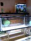 [TodoMarino.com] Nuevo Acuario De 240 Lts