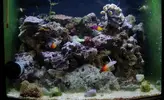 [TodoMarino.com] Mi nanocubo de 90 l