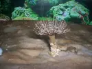 [TodoMarino.com] ayuda