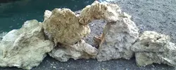 [TodoMarino.com] Soy nuevo en esto y este es mi proyesto