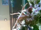 [TodoMarino.com] The TOMMY´s Reef