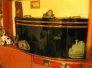 [TodoMarino.com] Vendo Mi Acuario Panorámico