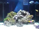 [TodoMarino.com] Taller Usuarios RED SEA MAX