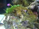 [TodoMarino.com] Taller Usuarios RED SEA MAX