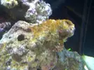 [TodoMarino.com] Taller Usuarios RED SEA MAX