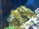 [TodoMarino.com] Taller Usuarios RED SEA MAX