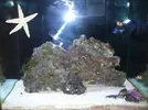 [TodoMarino.com] evolucion red sea max