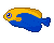 [TodoMarino.com] Añadir reef booster