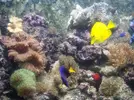 [TodoMarino.com] Acuario Jose Cartagena "Nuevo comienzo"