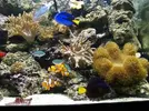 [TodoMarino.com] Acuario Jose Cartagena "Nuevo comienzo"