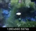 [TodoMarino.com] Se me comen los zoos!!!!!!