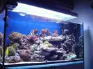 [TodoMarino.com] Mi acuario