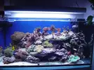 [TodoMarino.com] Mi acuario