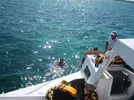[TodoMarino.com] buceo y acuario xcaret mexico 1