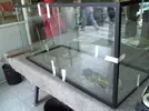 [TodoMarino.com] me presento