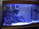 [TodoMarino.com] ¡Ya tengo peces!