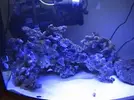 [TodoMarino.com] ¡Ya tengo peces!