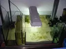 [TodoMarino.com] Taller De Sump