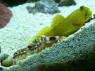 [TodoMarino.com] nano 25 l de maude