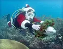 [TodoMarino.com] Merry Christmas & Happy New Year