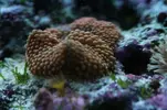 [TodoMarino.com] Mi Nano 90 L en 20 fotos