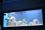[TodoMarino.com] Acuario de VAL 2012